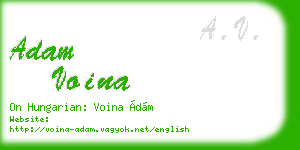 adam voina business card